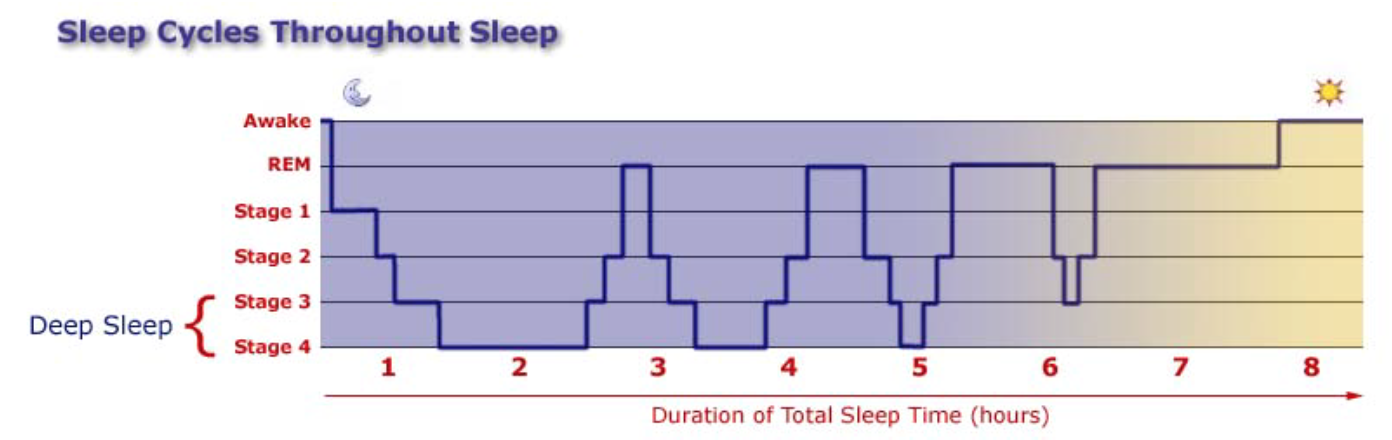 Sleep Cycle